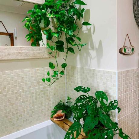 Badezimmertrends Instagram hängende Efeupflanzen