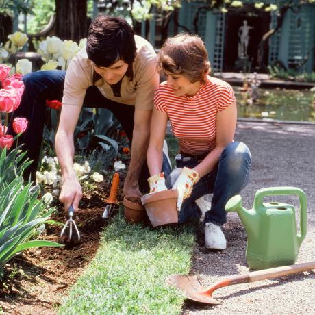5-måder-haver-har-ændret-siden-1970'erne-1