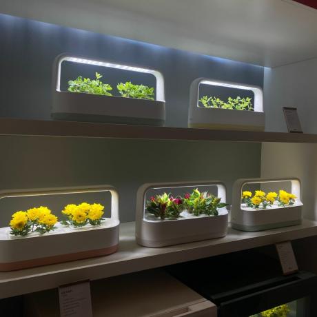 LG Tiiun Indoor-Gartensystem