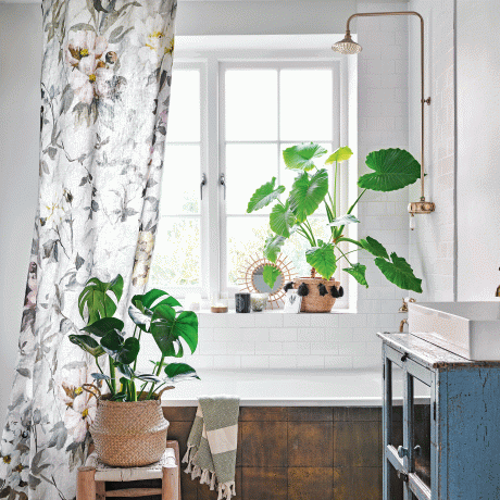 샤워 커튼과 집 식물이 있는 흰색 욕실