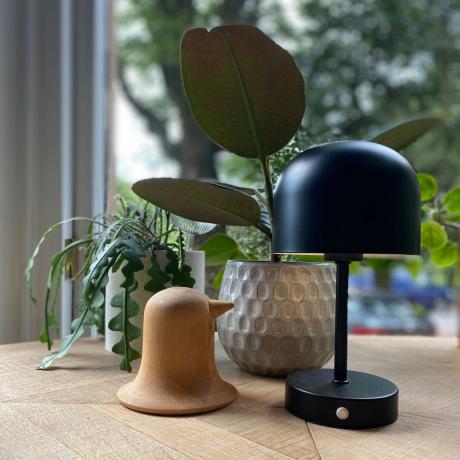 Dunelm trådløs oppladbar lampe på et bord ved siden av et vindu og noen planter