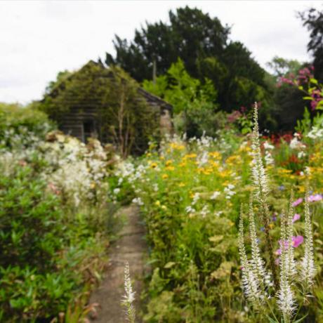 Dvorec v Hemingford Grayu prikazuje travniški vrt, poln divjih rož