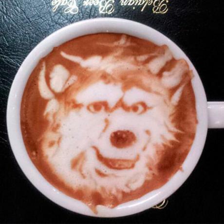 Ordens latentes: Da próxima vez que você for ao Costa, desafiamos você a pedir um cappuccino magro com um lobo por cima! Recursos Rex