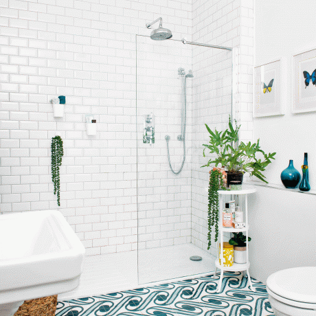 Banheiro branco com chuveiro e plantas da casa