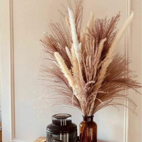 Поглезена пампас естествена сушена трева от пампас в кехлибарена стъклена бутилка, изложена в дома