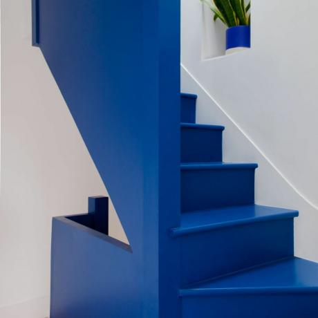 modro stopnišče barvita knjižna polica