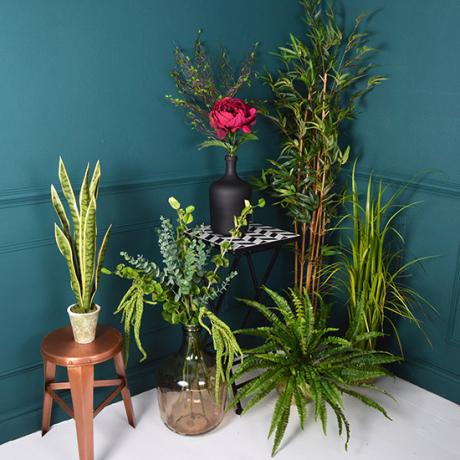 Botāniskais zieds: labākie mākslīgie istabas augi