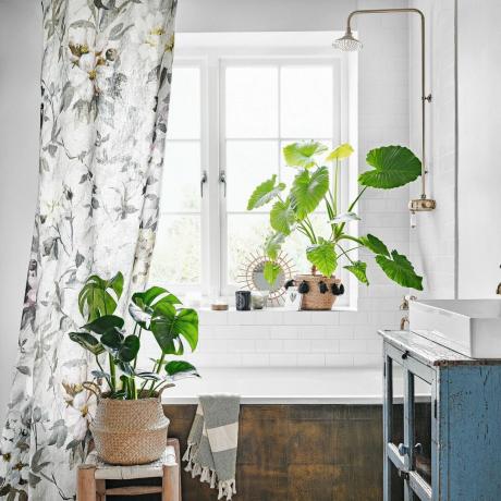 Augalai ant palangės ir taburetės neutralaus atspalvio vonios kambaryje