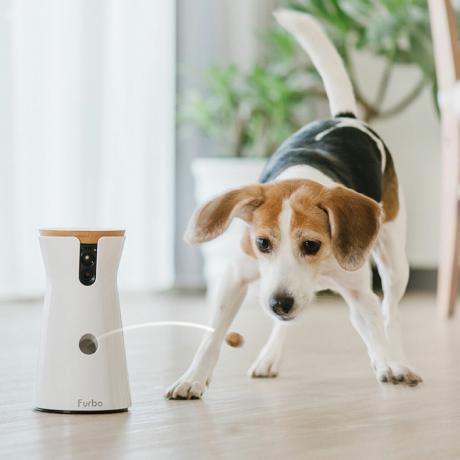 Furbo je dávkovač pamlsků a kamera pro domácí mazlíčky pro bodkování vašeho psa
