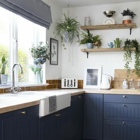 modrá vidiecka kuchyňa s drevenými doskami a policami a rastlinami