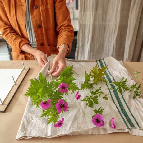 στέγνωμα λουλουδιών με λινό ύφασμα για να προετοιμαστούν για πάτημα