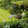 Најбољи савети баштована Дејвида Домонија о побољшању дренаже травњака