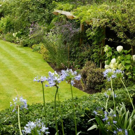 Die besten Tipps des Gärtners David Domoney zur Verbesserung der Rasenentwässerung