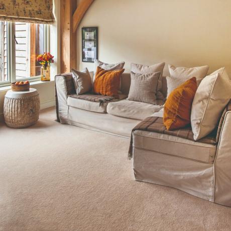 Un salon avec des canapés beiges et un tapis beige