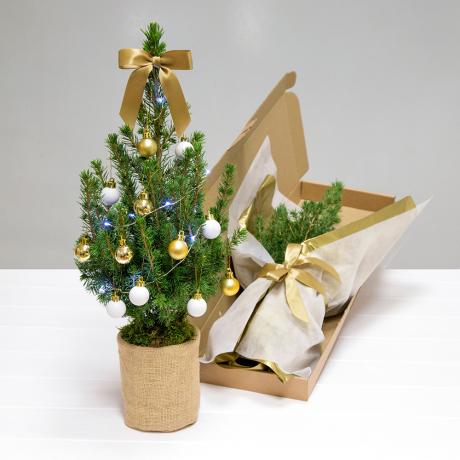 Božićno drvce Johna Lewisa koje morate imati stiže putem pošte