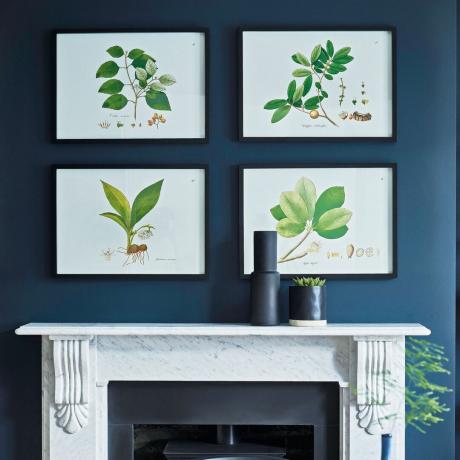 شبكة من أربع مطبوعات نباتية معروضة على جدار أزرق داكن فوق مدفأة رخامية