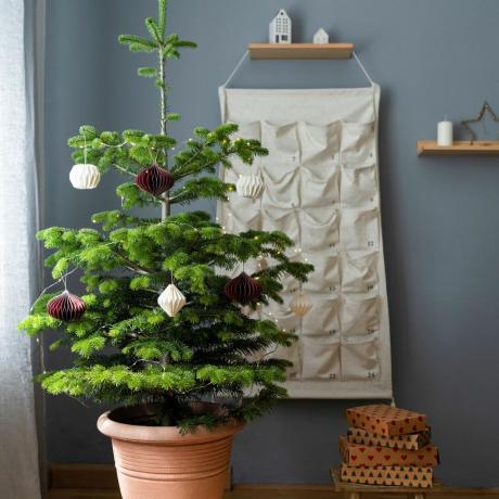 شجرة عيد الميلاد مزينة بوعاء في غرفة المعيشة