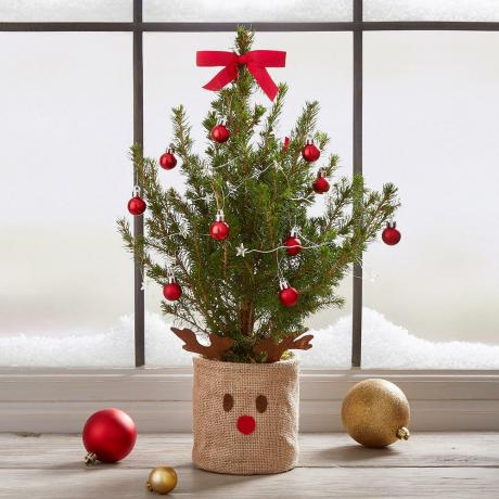 etterbox vianočný stromček 