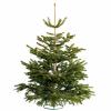 Budúci týždeň si vyzdvihnite REÁLNY vianočný stromček Lidl - už od 17,99 GBP!