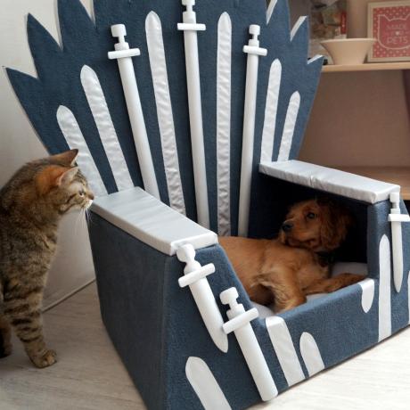 trono de ferro da cama do gato
