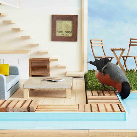 Pene de cuib: păsările de grădină norocoase doresc un tweet cu o casă de păsări de lux cu două etaje, completă cu baie privată și piscină infinită