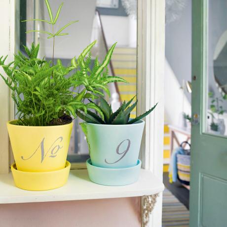 vasos de plantas pintados de amarelo e azul com o número da casa 