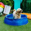 O intervalo de resfriamento Pets at Home é ideal para ondas de calor - incluindo piscina infantil