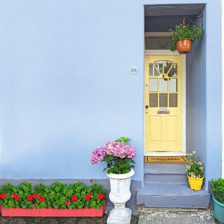 페인트 칠한 거리에 사는 것은 집값을 £1000s까지 올릴 수 있습니다