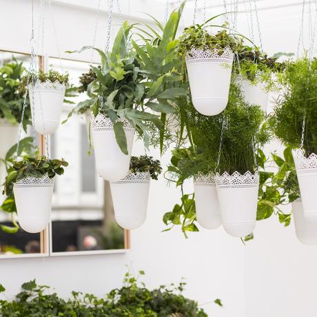 Домашните растения на Ikea са на върха на саксиите на RHS Chelsea Flower Show 2017