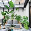 Ideas para pisos de invernadero: 11 estilos de pisos para la inspiración de la habitación del jardín