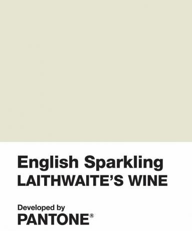 pantone angielskie wino musujące