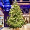 Der teuerste Weihnachtsbaum der Welt in Marbella enthüllt