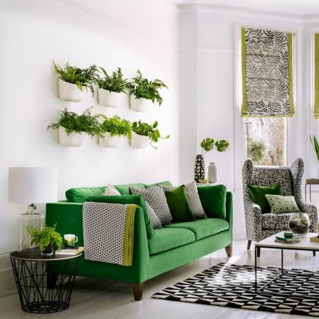 Zelená sametová pohovka v obývacím pokoji s hrnkovými rostlinami na stěnách a vzorovanými textiliemi