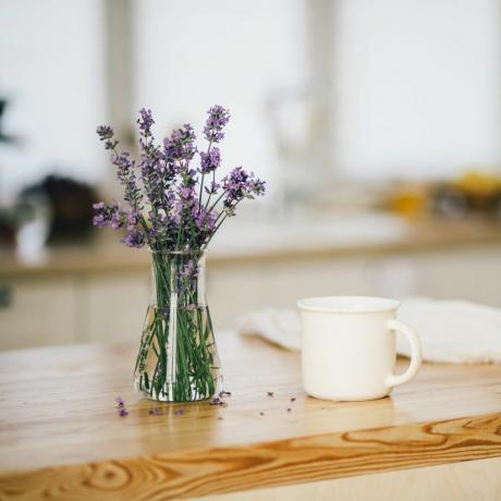 Lavendel in einer Vase auf dem Tisch neben einem weißen Becher