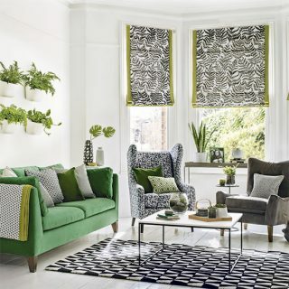 Moderne monokrom og bregne grønn stue