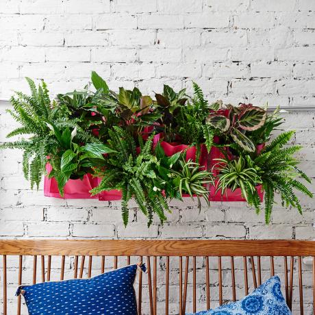 اجعل مكتبك يبدو وكأنه نباتات منزلية