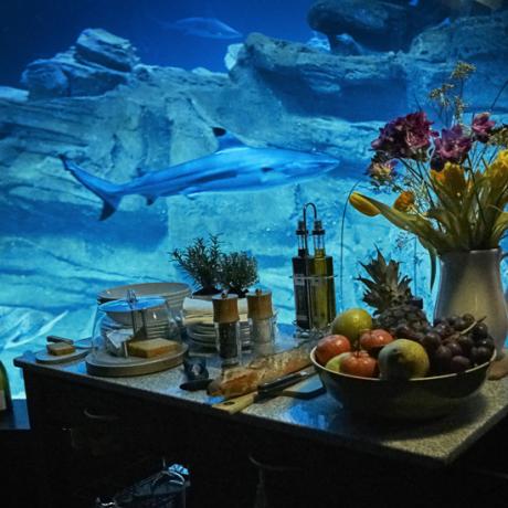 Airbnb lance la toute première chambre sous-marine dans un aquarium à requins