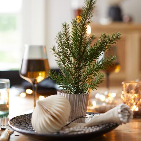 Idee per decorare la tavola di Natale crea i tuoi mini alberi