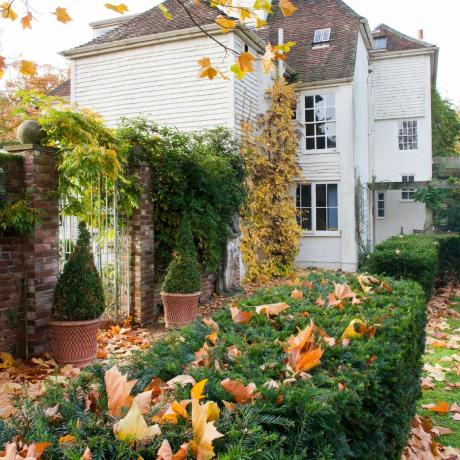 Оградена градина с есенни листа и бяла къща