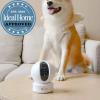 Najboljša varnostna kamera 2021 - vrhunske kamere za boljšo varnost doma