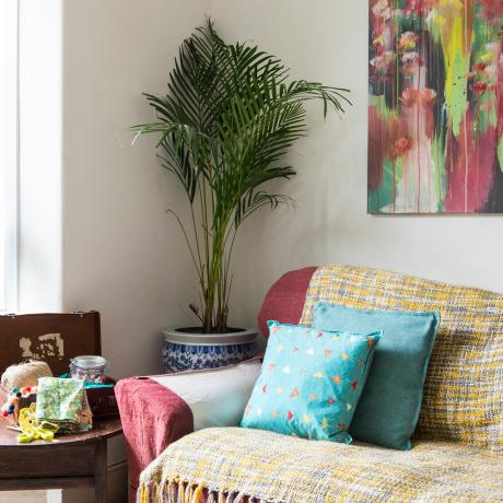 bílý obývací pokoj s vysokou pokojovou rostlinou v rohu od pohovky