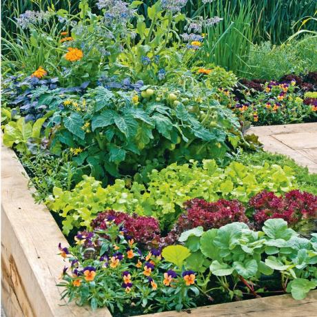 Nowoczesne pomysły ogrodnicze, które odmienią Twoją przestrzeń na zewnątrz