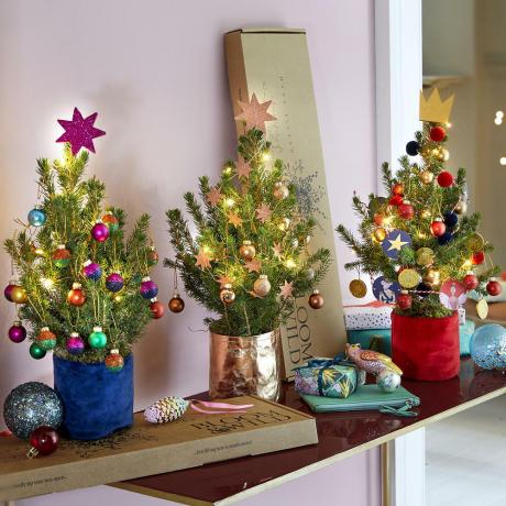 Bloom ve Wild mini Noel ağacı 