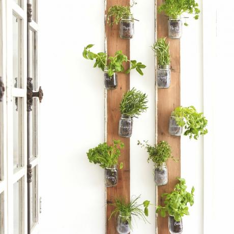 artigianato verticale per il giardino delle erbe con vasetti di vetro appesi verticalmente su un pavimento di legno in cucina bianca