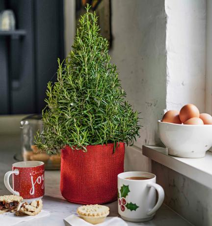 Alternativna drevesa rožmarina Waitrose so se vrnila k božični kulinariki