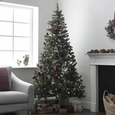 עץ חג המולד של ארגוס
