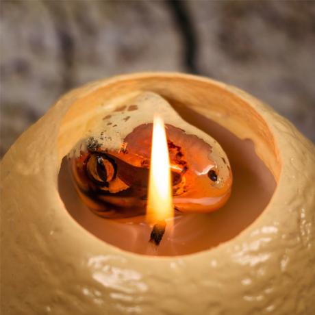 Πιάστε τον δικό σας δεινόσαυρο με αυτό το καταπληκτικό κερί