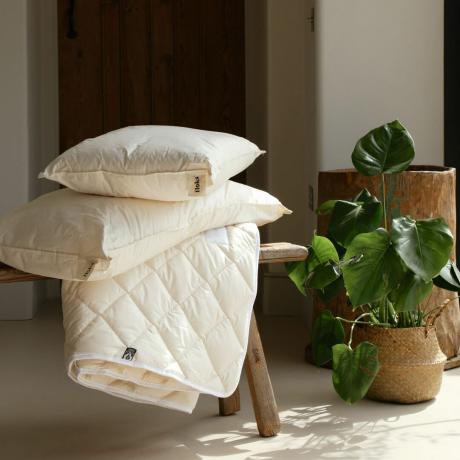 Poplun i jastuci na stolici pored biljke