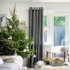 David Domoney razkriva, kdaj kupiti pravo božično drevo