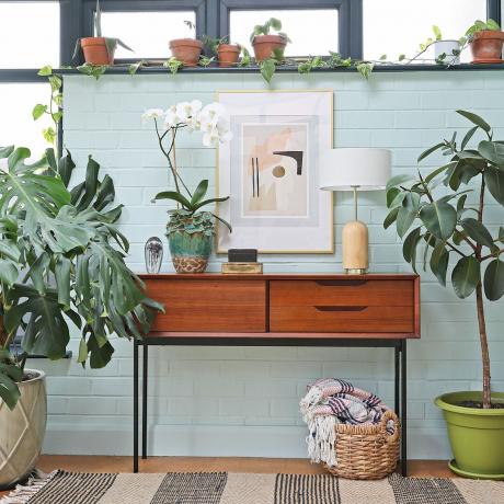 Prostor za zimski vrt s konzolnim stolom i izborom sobnih biljaka